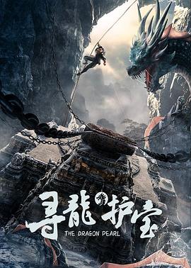 寻龙护宝封面图