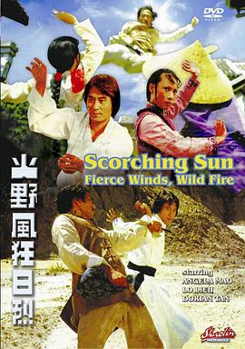 烈日狂风野火封面图