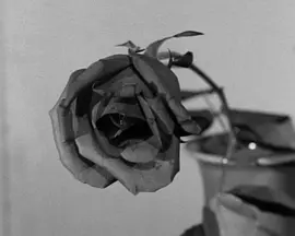 触摸她的躯壳封面图