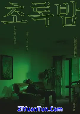 绿夜封面图