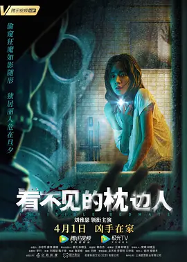 看不见的枕边人封面图