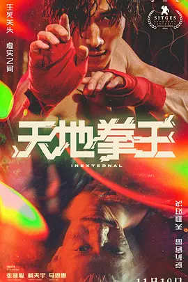 天地拳王封面图