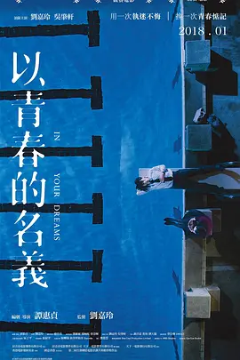 以青春的名义封面图