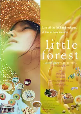 小森林 夏秋篇封面图