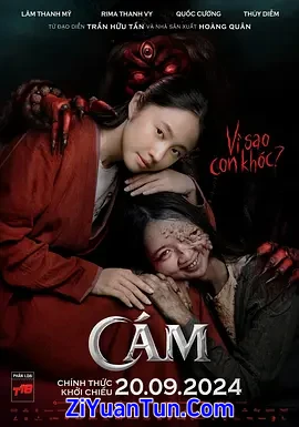 阿糠封面图