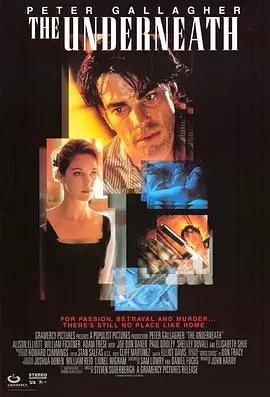 危险狂爱封面图