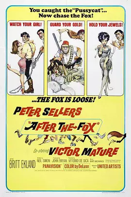 怪贼飞天狐封面图