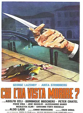 谁看见她死去？封面图