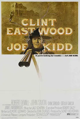 独行神枪侠封面图