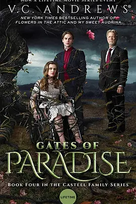 天堂之门封面图