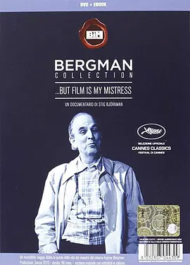 电影是我的情妇封面图