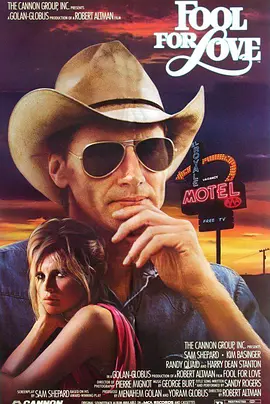 爱情傻子封面图