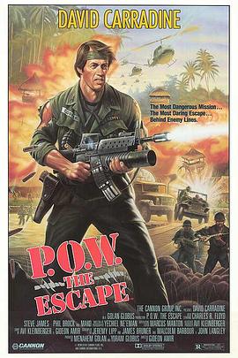 战俘大逃亡封面图