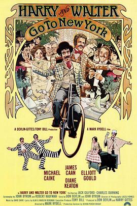 妙盗神偷封面图