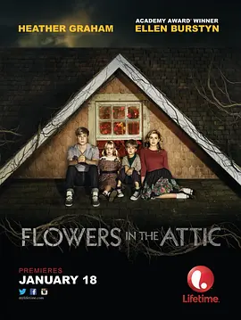 阁楼里的花封面图