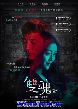 双魂封面图