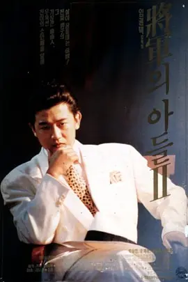 将军的儿子2封面图