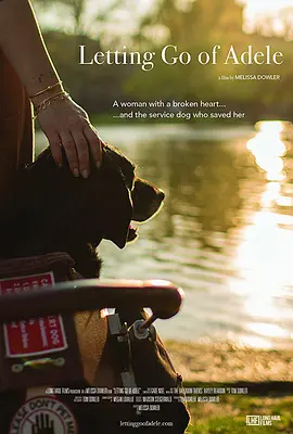 Letting Go of Adele封面图