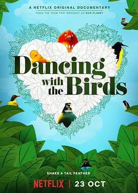 与鸟共舞封面图