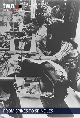 千锤万缝创新路封面图