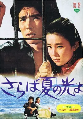 再见，夏日之光封面图