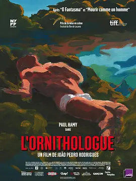 鸟类学家封面图