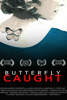 折翅蝴蝶封面图