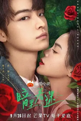 暗里着迷封面图