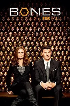 识骨寻踪 第九季封面图