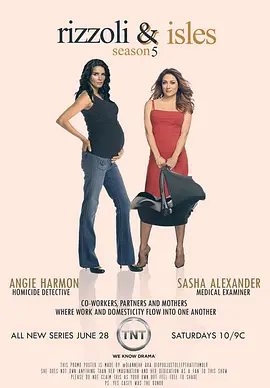 妙女神探 第五季封面图