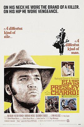 龙城猛虎封面图