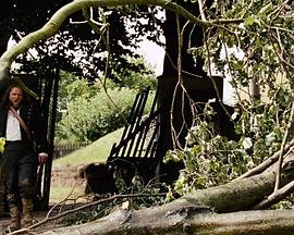 自由射手封面图