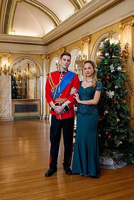 我的圣诞王子封面图