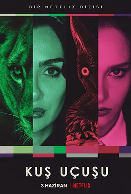 直线篡位封面图