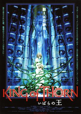 古城荆棘王封面图