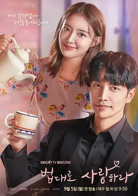 依法相爱封面图