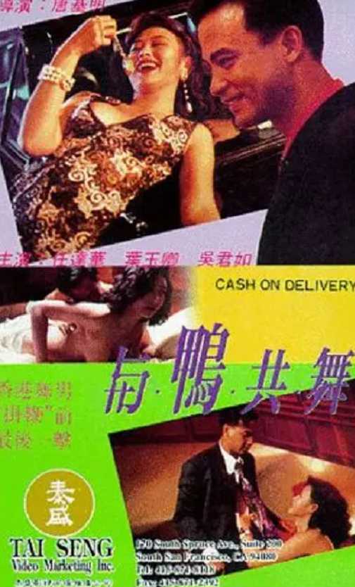 与鸭共舞封面图