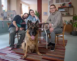 混蛋 第三季封面图