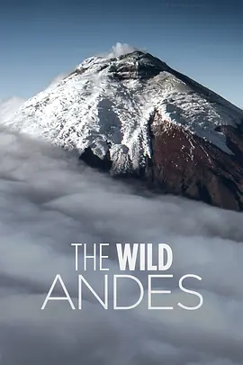 野性安第斯封面图