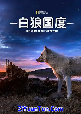 雪狼王国封面图