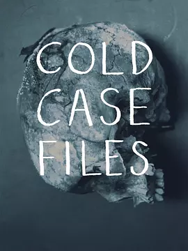 悬案档案封面图