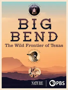 Big Bend: The Wild Frontier of Texas Season 39封面图