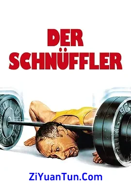 私家侦探封面图