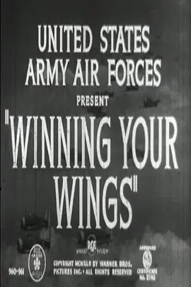 赢得你的双翼封面图