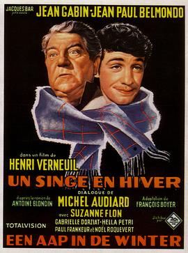 冬天的猴子封面图