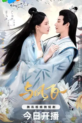 与凤飞封面图