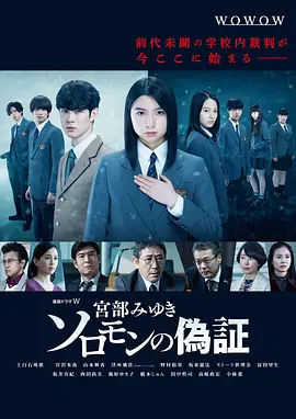 所罗门的伪证封面图