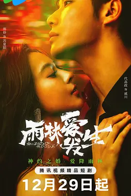 雨林爱发生封面图