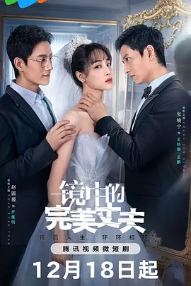 镜中的完美丈夫封面图