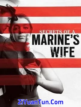 Secrets of a Marine's Wife封面图